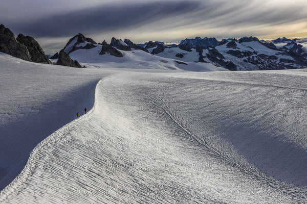 050A5780_600x.jpg?v=1575397716